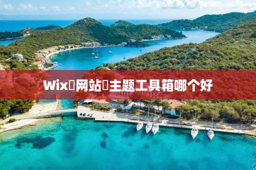 Wix‌网站‌主题工具箱哪个好